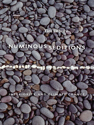 cover image of Numinous Seditions